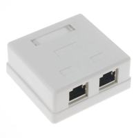 Розетка компьютерная RJ-45(8P8C) категория 5е, экранированная, двойная, внешняя, DUAL IDC TWIST