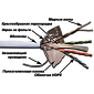 Кабель TWT-6FTP-LSZH FTP, 4 витые пары, Кат. 6, LSZH, белый, 305 м в кат.,